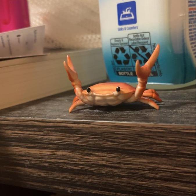 🤣 Διασκεδαστική καυτή πώληση 🦀 Χαριτωμένη θήκη για στυλό σε σχήμα καβουριού