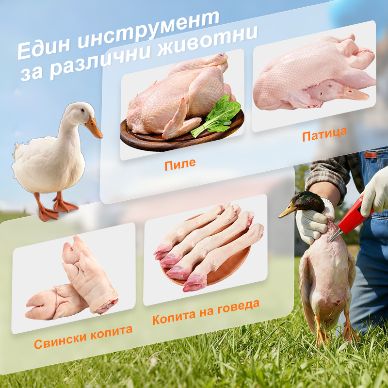 🦆Електрически ръчен скубач за домашни птици – спестява време и усилия🐓