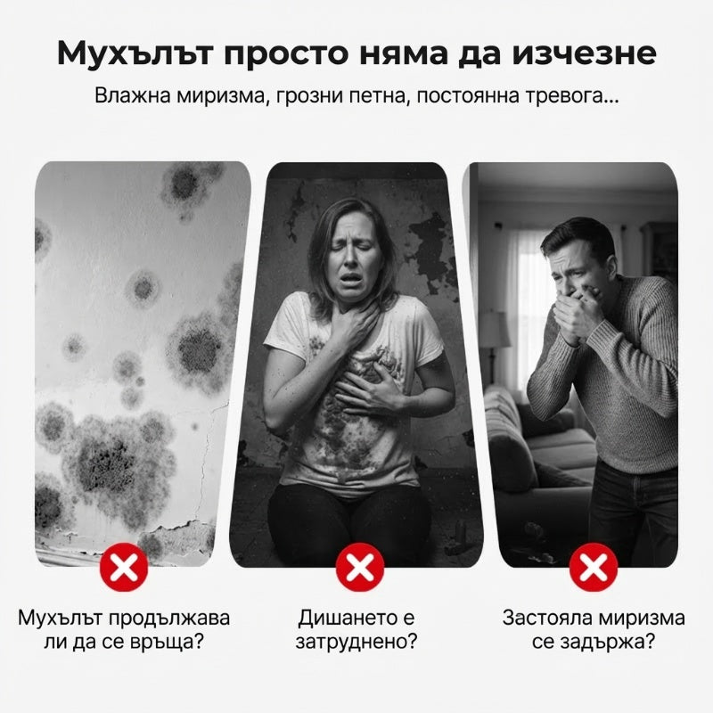【✨Купете 1 + 1 безплатно】Високоефективен спрей за отстраняване на мухъл