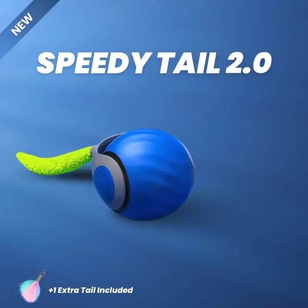 🐕SPEEDY TAIL 2.0🐈