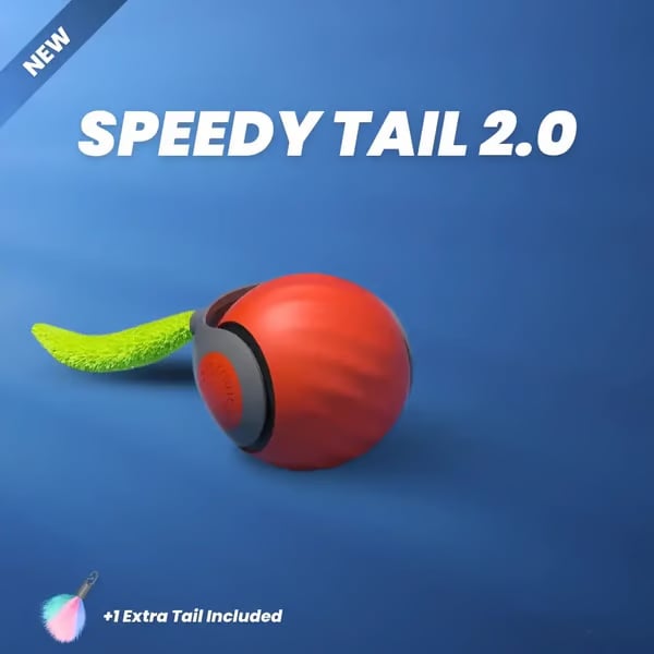 🐕SPEEDY TAIL 2.0🐈