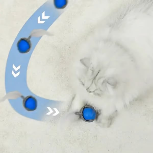 🐕SPEEDY TAIL 2.0🐈