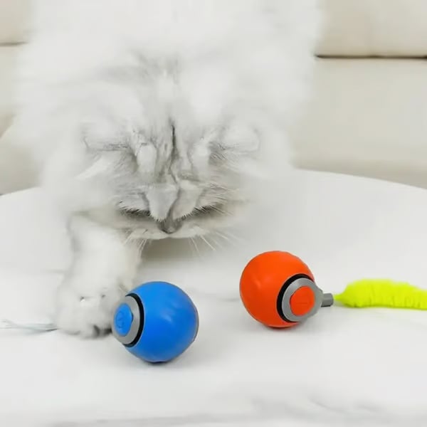 🐕SPEEDY TAIL 2.0🐈