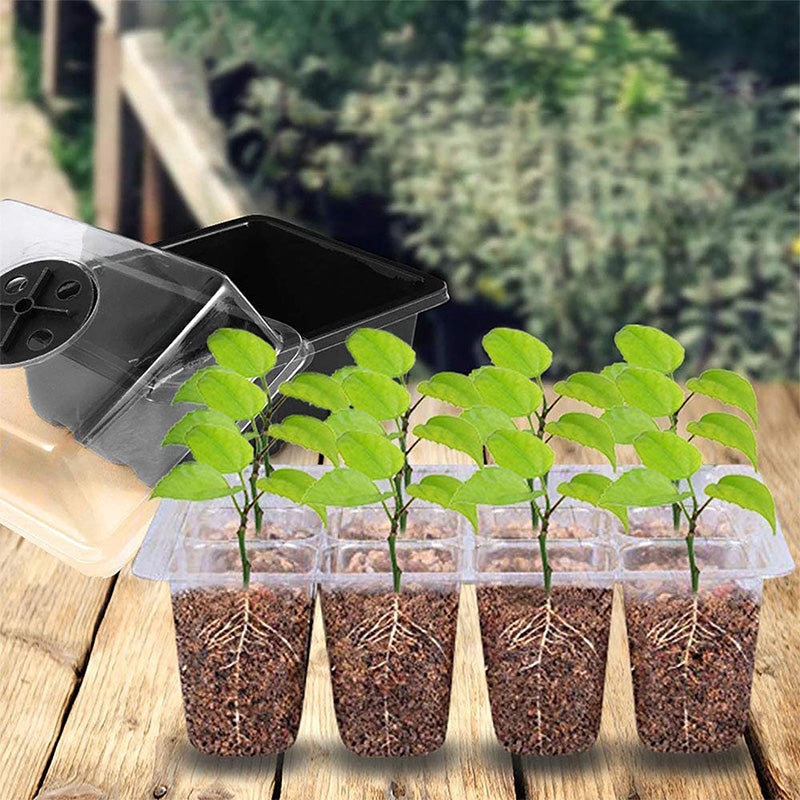 🌱 Интелигентна тава за кълнове с вградена светлина – свежи зеленчуци и през зимата! 💡✨