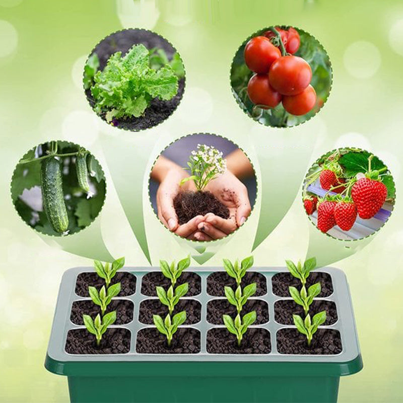 🌱 Интелигентна тава за кълнове с вградена светлина – свежи зеленчуци и през зимата! 💡✨