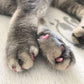 🐕🐈Καπάκια νυχιών για σκύλους και γάτες με κόλλα❤️