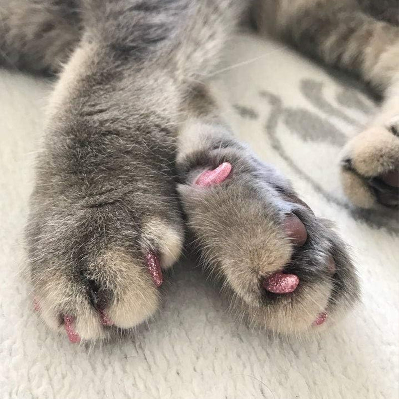 🐕🐈Καπάκια νυχιών για σκύλους και γάτες με κόλλα❤️